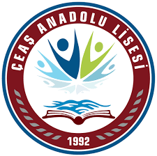 ÇEAS ANADOLU LİSESİ