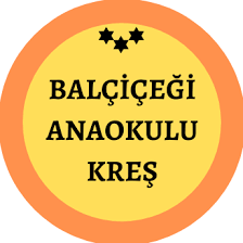 ÖZEL BALÇİÇEĞİ ANAOKULU