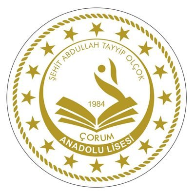 ŞEHİT ABDULLAH TAYYİP OLÇOK ANADOLU LİSESİ