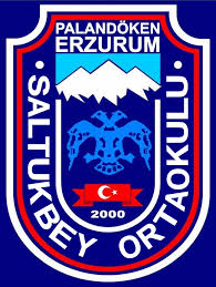SALTUKBEY ORTAOKULU